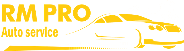RM PRO Auto Service logo